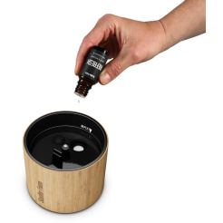 Stadler Formulár Nora