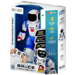 Zigybot - Bruce