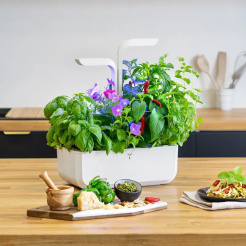 Véritable CLASSIC - biely + 4 bylinkové náplne