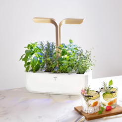 Véritable CONNECT - biele/šampanské + 4 bylinkové náplne