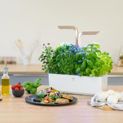 Véritable CONNECT - biele/šampanské + 4 bylinkové náplne