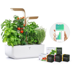  Véritable CONNECT - biele/šampanské + 4 bylinkové náplne 