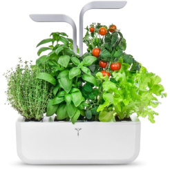 Véritable SMART s ovládaním svetla - biely + 4 bylinkové náplne