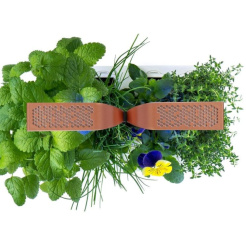 Véritable SMART s ovládaním svetla - čierna + 4 bylinkové náplne