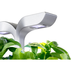 Véritable Exky CLASSIC - biely + 2 bylinkové náplne