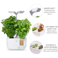 Véritable Exky CLASSIC - biely + 2 bylinkové náplne