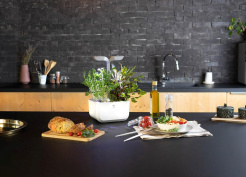 Véritable Exky CLASSIC - biely + 2 bylinkové náplne