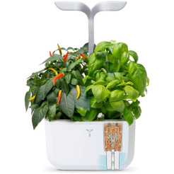 Véritable Exky SMART - biely + 2 bylinkové náplne