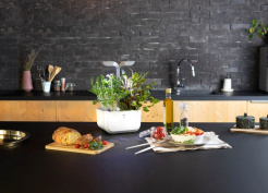 Véritable Exky SMART - biely + 2 bylinkové náplne