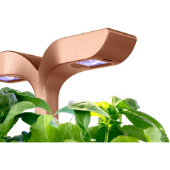 Véritable Exky SMART - čierna + 2 bylinkové náplne