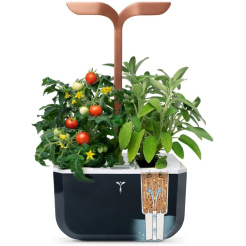 Véritable Exky SMART - čierna + 2 bylinkové náplne