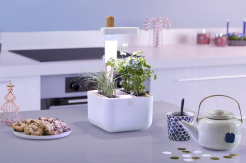 Véritable Botaneo + 2 bylinkové náplne