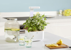 Véritable Botaneo + 2 bylinkové náplne