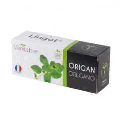 Véritable Lingot Oregano - BIO