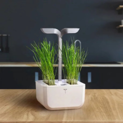 Véritable Lingot Pažítka - BIO