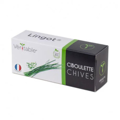 Lingot Chives - BIO