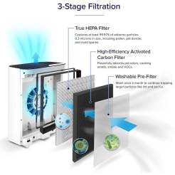 Filter Levoit Vital 100-RF-RTL
