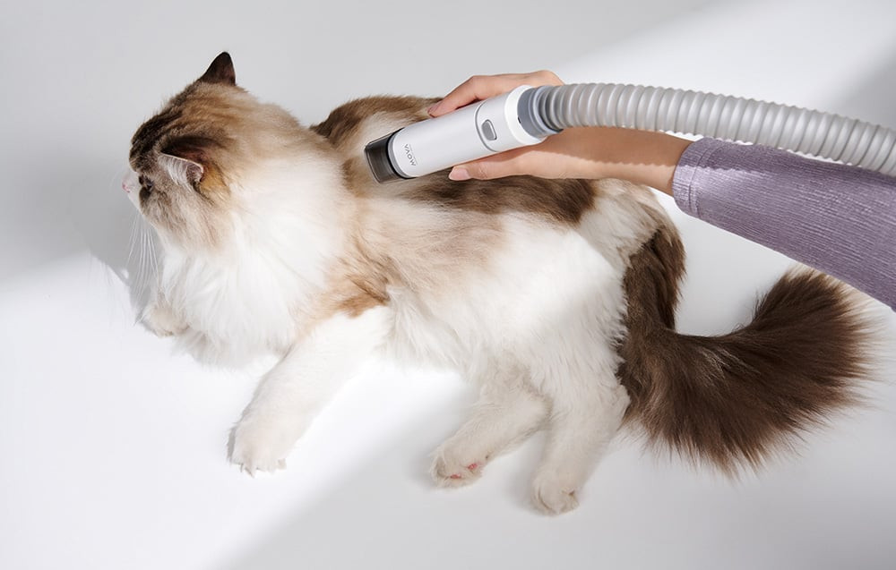 Tichá prevádzka pre pohodlie domácich zvierat