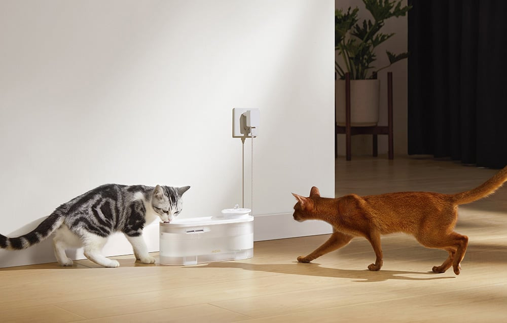 Revolučná technológia na zdravé pitie pre vašich domácich miláčikov