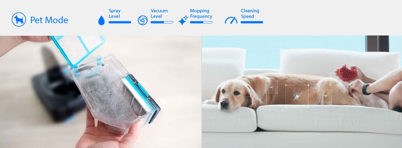 Móda pre domáce zvieratá