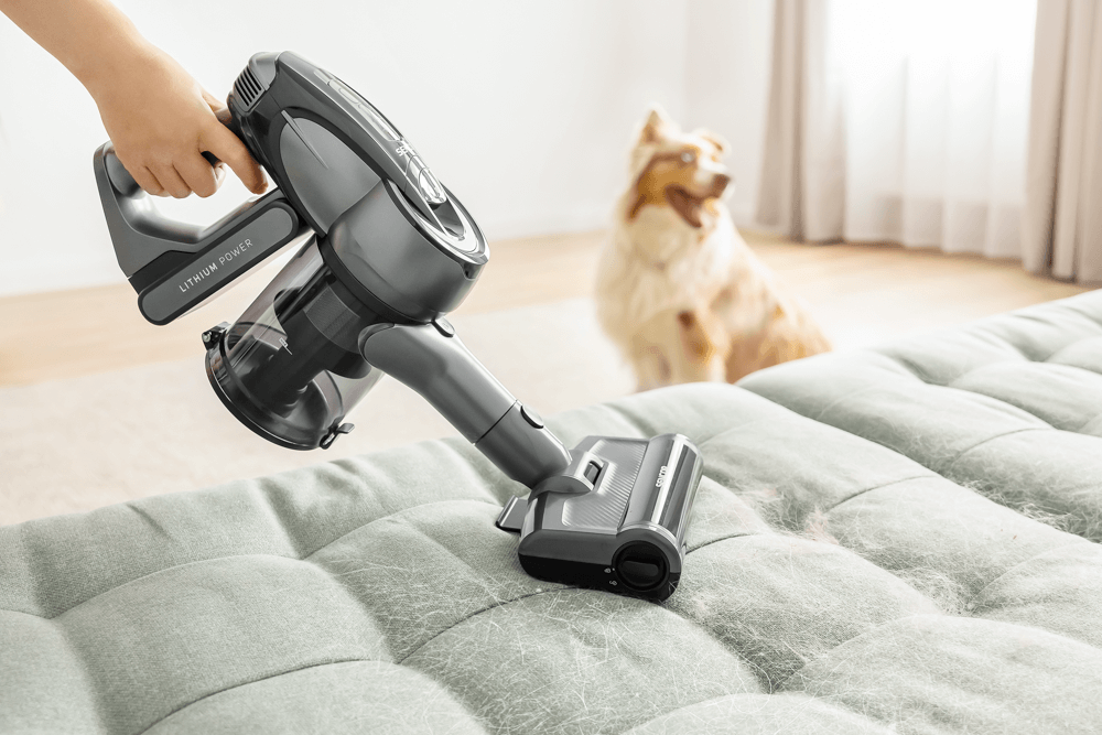 Domáce zviera v domácnosti? Pre mňa žiadny problém!